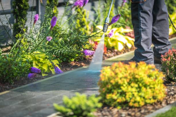 Best Boat and Dock Cleaning  in Level Green, PA